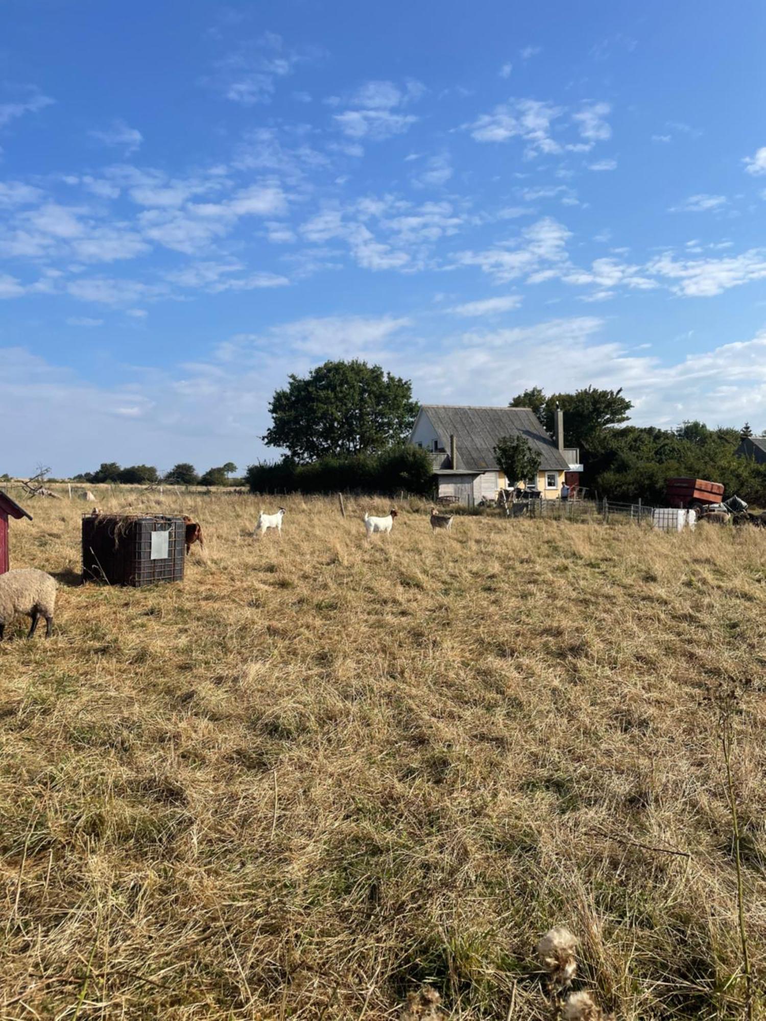 Oestermark Ærøskøbing Buitenkant foto